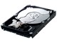 HE252HJ (250GB SATA300 7200)
