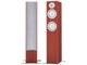 NS-325F [�P�i]