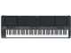 Stage Piano CP300