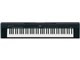 Portable Grand NP-30