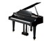 Roland Piano Digital RG-3F