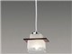 IP61161R