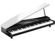 microPIANO WH [�z���C�g]