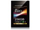 SP256GBSSDE20S25
