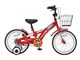 Raychell KS-16R [���b�h]