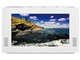 DS-ITV703WH [�z���C�g]