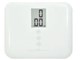 �s�RBMI BS-124WT [�z���C�g]