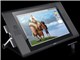 Cintiq 24HD touch DTH-2400/K0