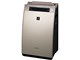 KI-WF100