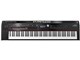 Stage Piano RD-2000