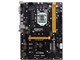 TB250-BTC