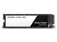 WD Black NVMe WDS100T2X0C
