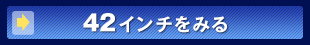 42�C���`�̃v���Y�}�e���r