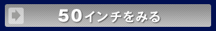 50�C���`�̃v���Y�}�e���r