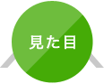 見た目