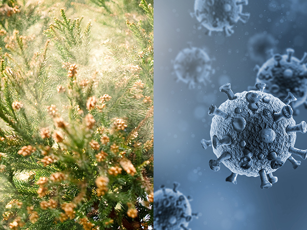 �ԕ��A�E�C���X�A�J�r�Ȃǂ̉���������99.98%�������B