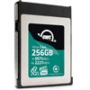 �uOWC Atlas Core 256GB�v