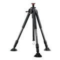 [Auctus Plus 283CT]