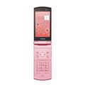 [docomo STYLE series F-10C]