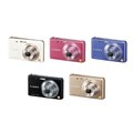 LUMIX DMC-FX80