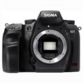 SIGMA SD1 Merrill