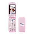 炭炭z x[VbN3 F-08C [y[sN]