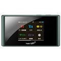 Pocket WiFi 303ZT