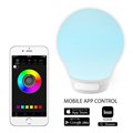 AURABULB�C���[�W