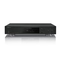 UDP-203