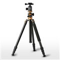 KF-TM2534T