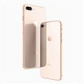 iPhone 8/8 Plus