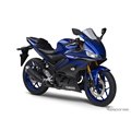 }n YZF-R25
