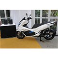z_ PCX ELECTRIC