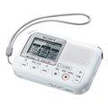 ICD-LX31A
