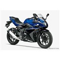 XYL GSX250R NX^u[^bN/p[lu[ubN