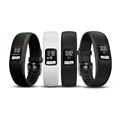 vivofit 4