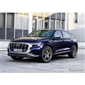 AEfB SQ8 4.0TFSI
