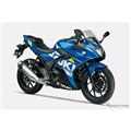 XYL GSX250R ABSiggu[^bNNo.2j