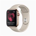 日本国内で「Apple Watch」の心電図アプリが利用可能に
