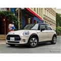MINI sJf[GfBV