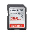 Eg vX SDXCJ[h 256GB