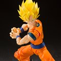 S.H.Figuarts X[p[TCltp[ 