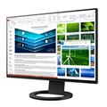 FlexScan EV2485