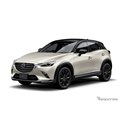 }c_ CX-3 X[p[ GbW[