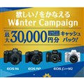 u~IȂ Winter Campaignv