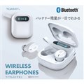 WIRELESS EARPHONES TOA-TM-S13BY