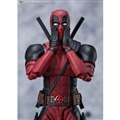 uS.H.Figuarts fbhv[ifbhv[jv
