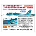 「Su-33 フランカーD “アパキゼ少将追悼記念機”」