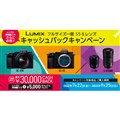 uLUMIX tTCY S5Y LbVobNLy[v