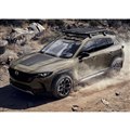 }c_ CX-50